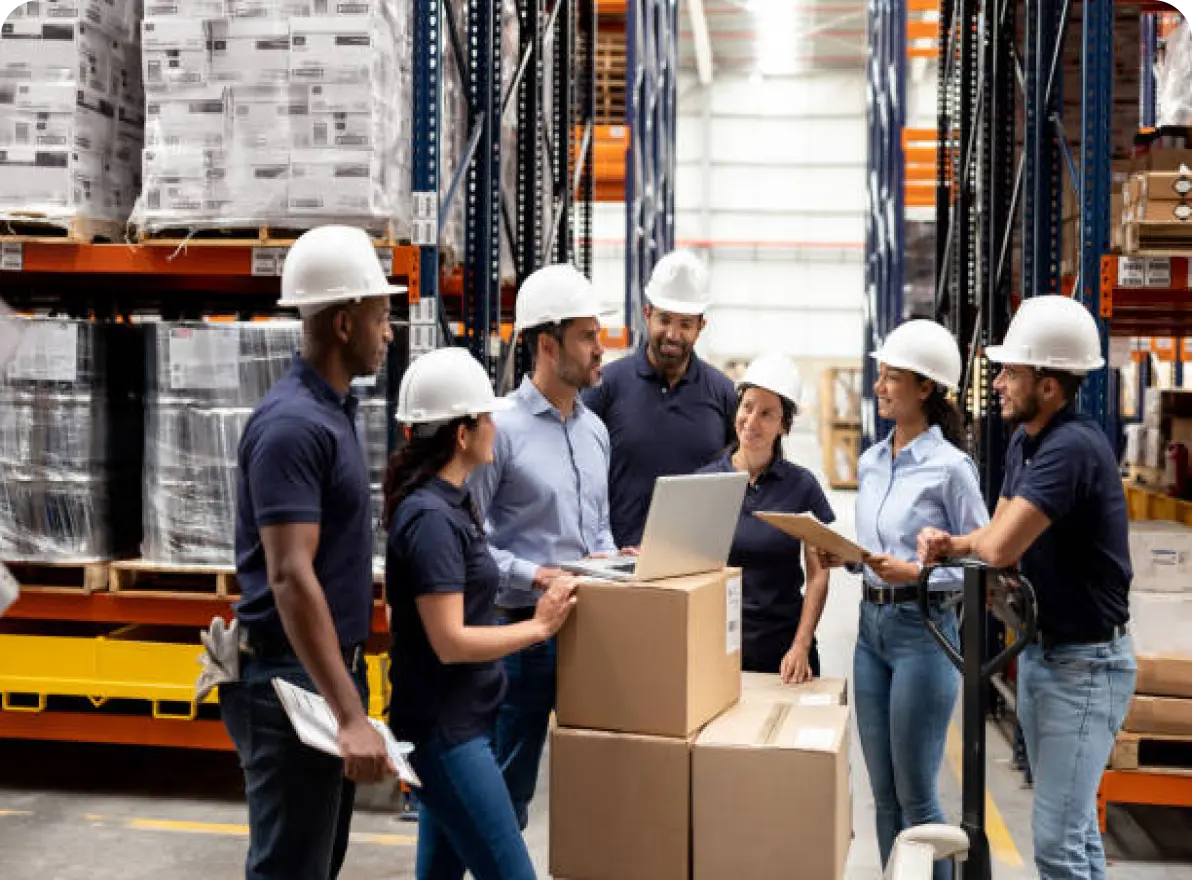 service-Logistic & Supplychain Management & Insurances